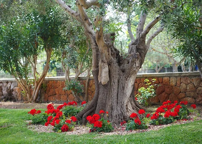 Semesterbostad Charming With A Fabulous Garden In By Renthousing *