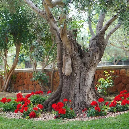 Tatil Evi Charming With A Fabulous Garden In By Renthousing *